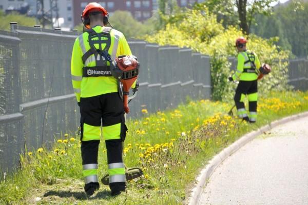 människor klipper gräs vid en vägkant