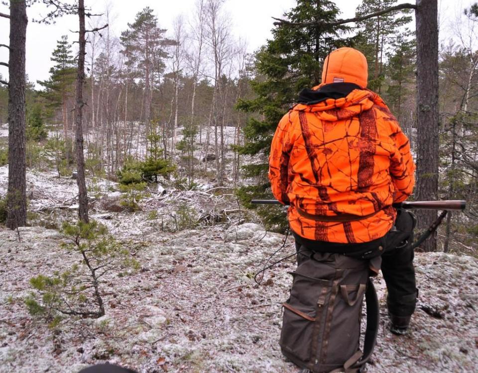 En jägare i skogen