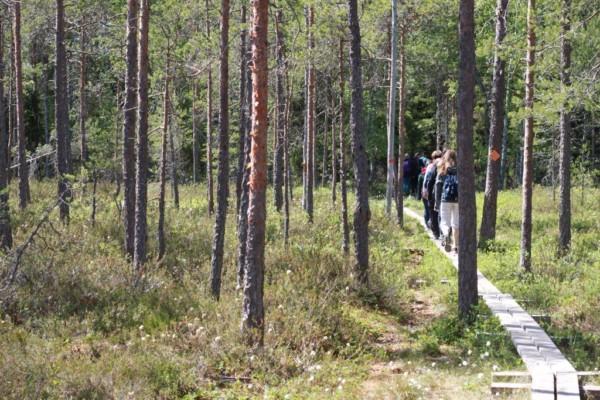 Stig med människor i en skog.