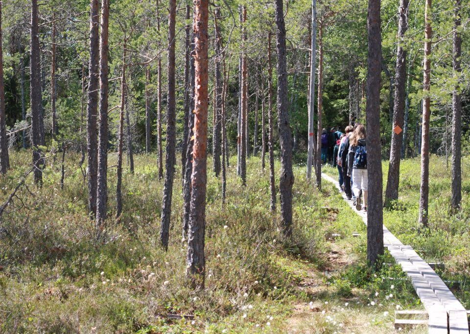 Stig med människor i en skog.