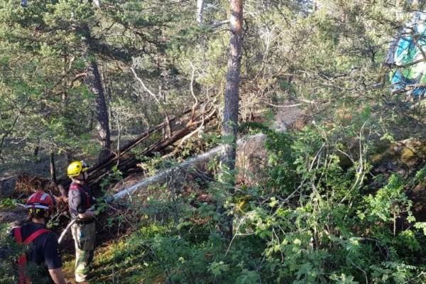 Brandmän släcker brand i skogen