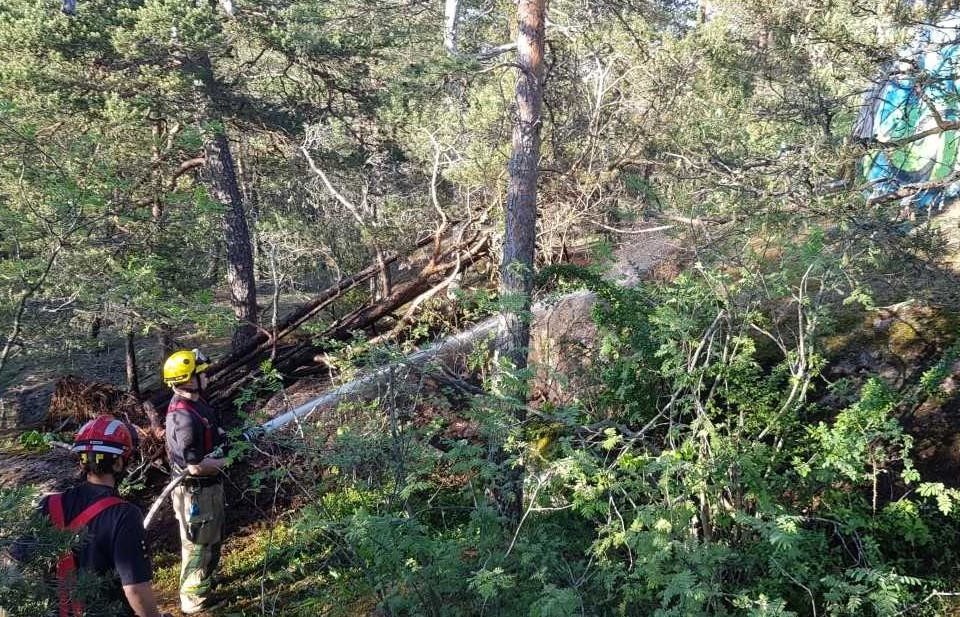 Brandmän släcker brand i skogen