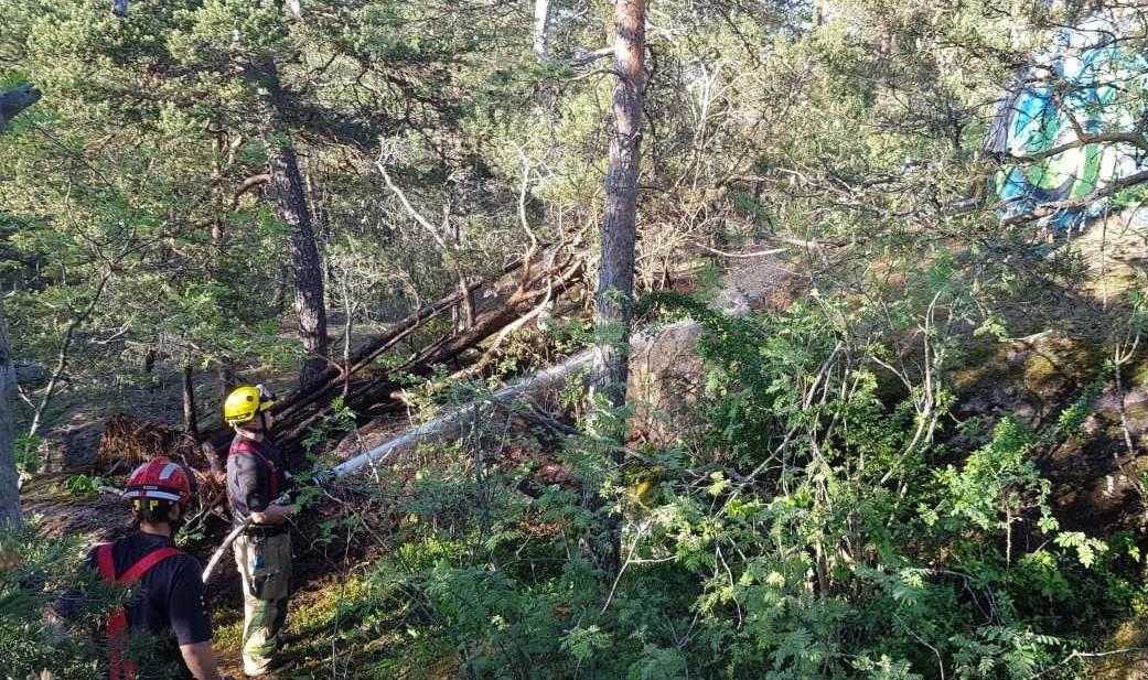 Brandmän släcker brand i skogen