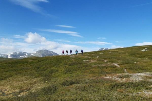 Fem personer vandrar längs ett kalt fjäll under en blå himmel.