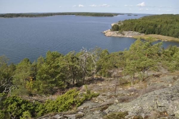 Utsikt från ett berg över karg skog och ett vattenområde.