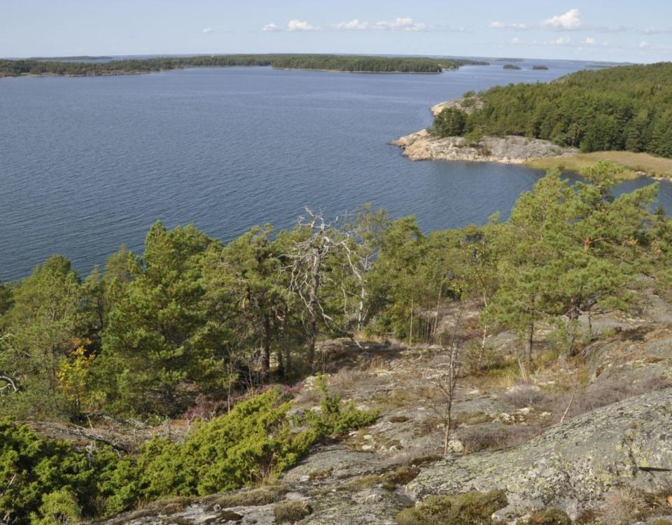 Utsikt från ett berg över karg skog och ett vattenområde.