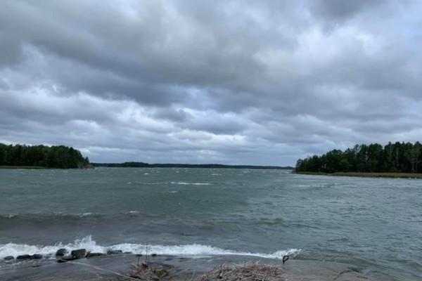 Vågor mot en strand.