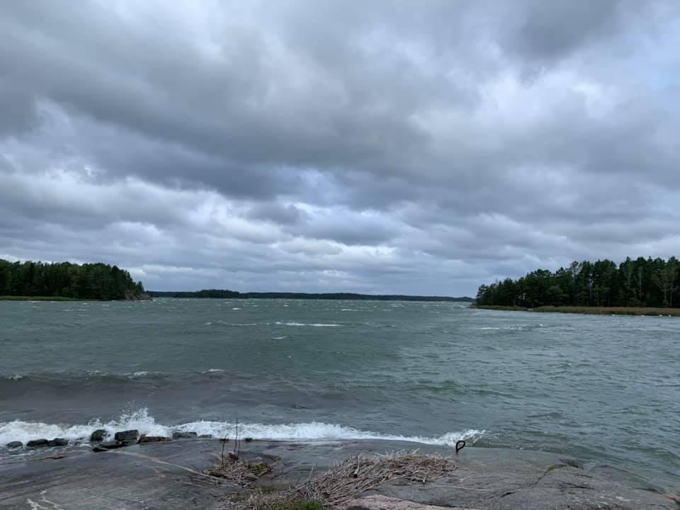 Vågor mot en strand.