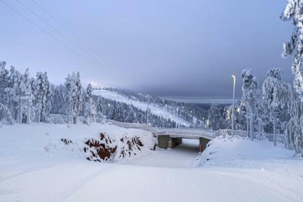 en slalombacke och ett snöigt landskap