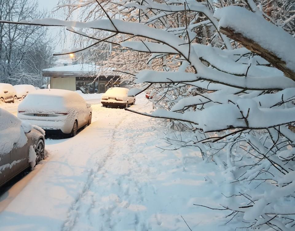 Gatubild efter snöfall, med nedsnöade bilar och träd.