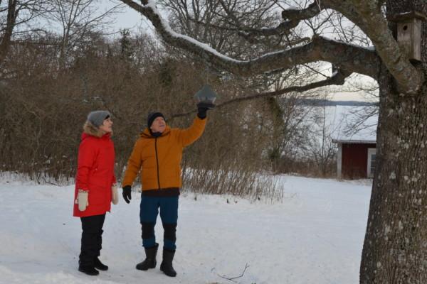 ett äldre par inspekterar en fågelmatsbehållare