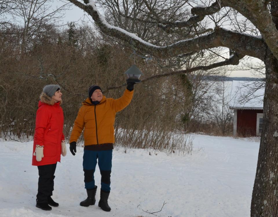 ett äldre par inspekterar en fågelmatsbehållare