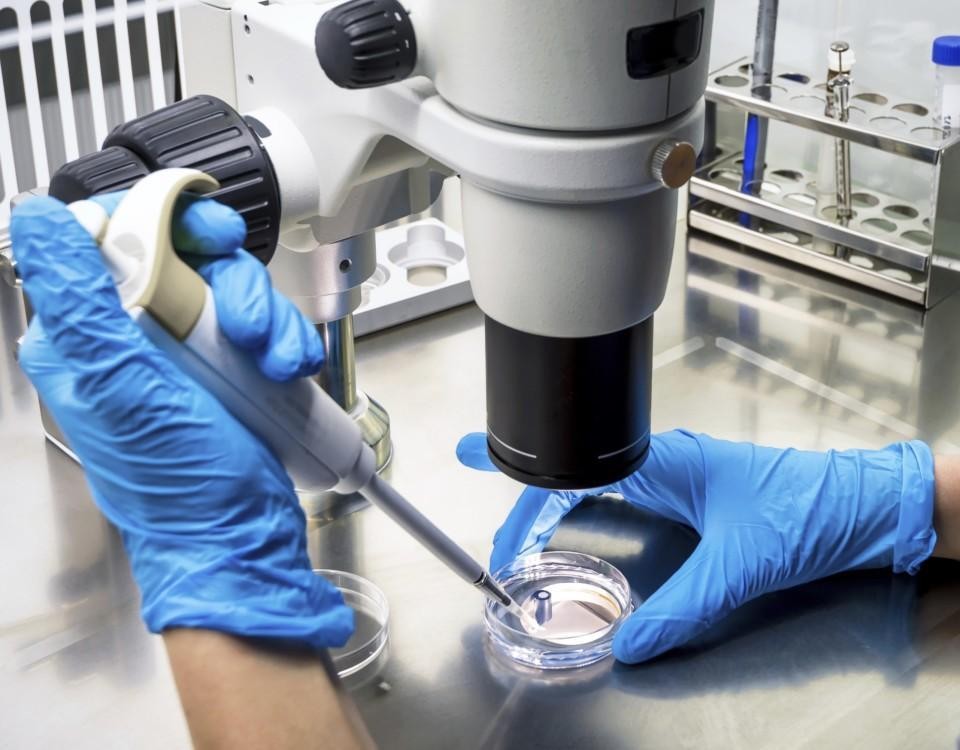 På bilden syns ett mikroskop samt händer iklädda plasthandskar.