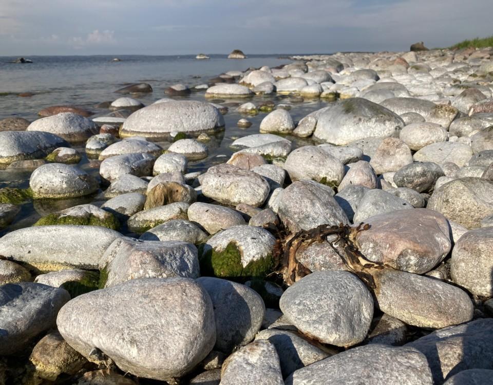 En strand med stenar.