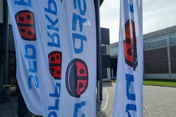 partibanners med röd nyckelpiga