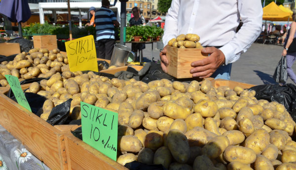 Försäljningsstånd med nypotatis